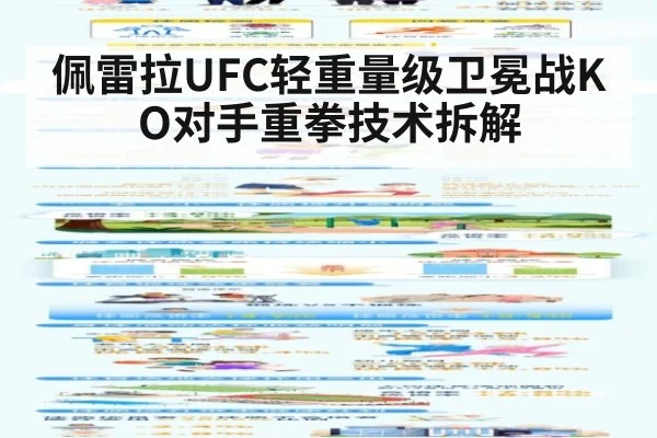 佩雷拉UFC轻重量级卫冕战KO对手重拳技术拆解